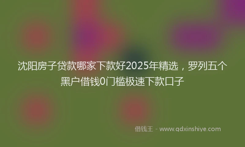 沈阳房子贷款哪家下款好2025年精选，罗列五个黑户借钱0门槛极速下款口子