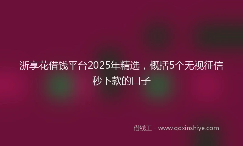 浙享花借钱平台2025年精选，概括5个无视征信秒下款的口子