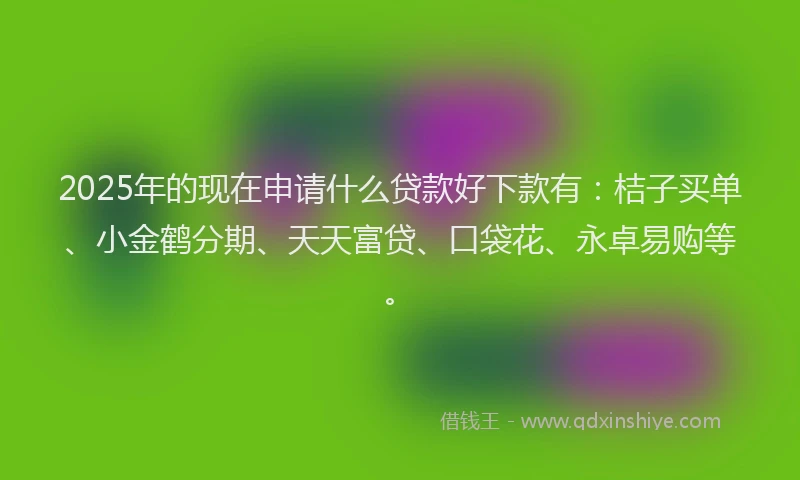 2025年的现在申请什么贷款好下款有：桔子买单、小金鹤分期、天天富贷、口袋花、永卓易购等。