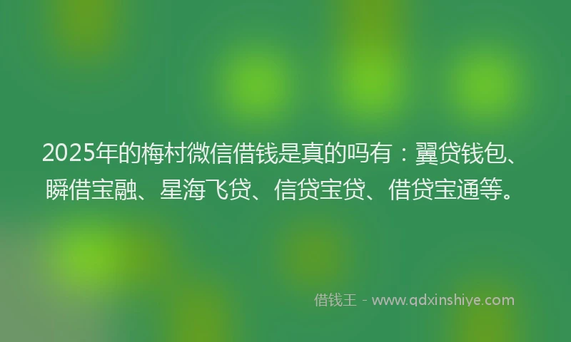 2025年的梅村微信借钱是真的吗有：翼贷钱包、瞬借宝融、星海飞贷、信贷宝贷、借贷宝通等。