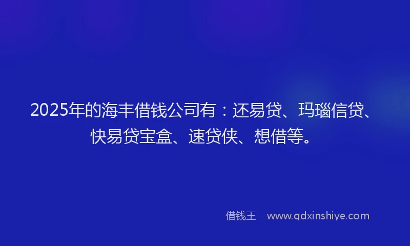 2025年的海丰借钱公司有：还易贷、玛瑙信贷、快易贷宝盒、速贷侠、想借等。