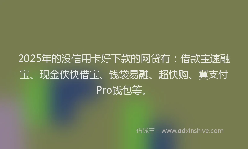 2025年的没信用卡好下款的网贷有：借款宝速融宝、现金侠快借宝、钱袋易融、超快购、翼支付Pro钱包等。