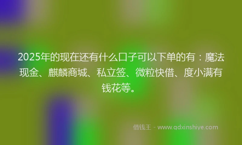 2025年的现在还有什么口子可以下单的有：魔法现金、麒麟商城、私立签、微粒快借、度小满有钱花等。