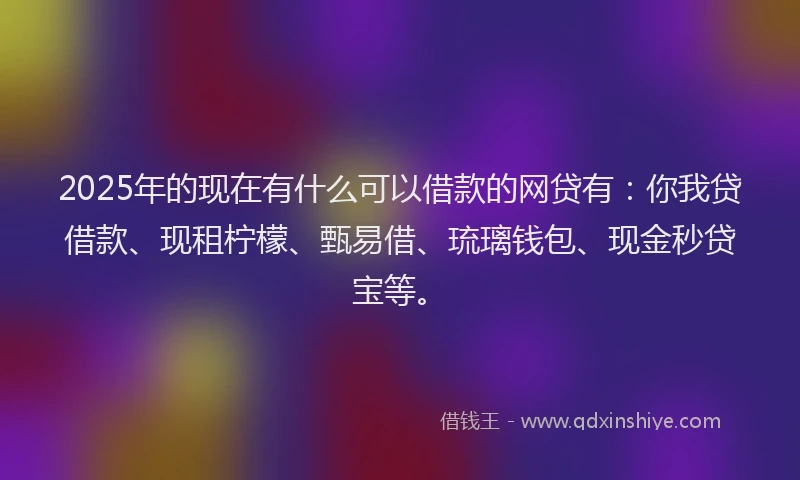 2025年的现在有什么可以借款的网贷有：你我贷借款、现租柠檬、甄易借、琉璃钱包、现金秒贷宝等。