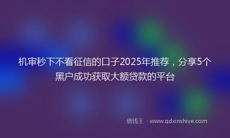 机审秒下不看征信的口子2025年推荐，分享5个黑户成功获取大额贷款的平台