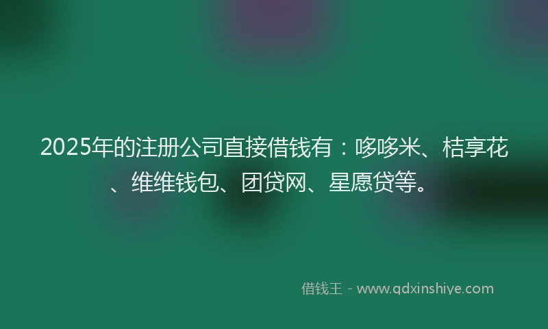 2025年的注册公司直接借钱有：哆哆米、桔享花、维维钱包、团贷网、星愿贷等。