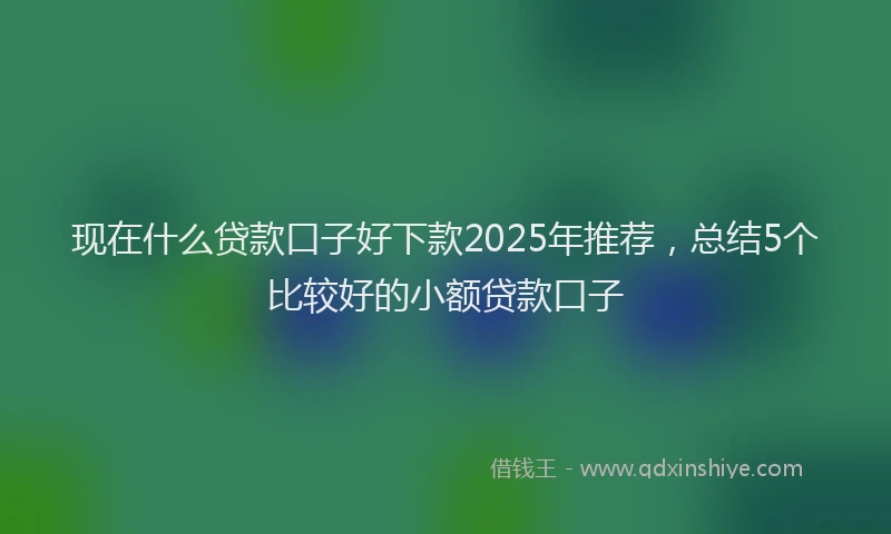 现在什么贷款口子好下款2025年推荐，总结5个比较好的小额贷款口子