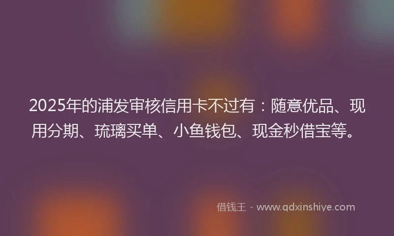 2025年的浦发审核信用卡不过有：随意优品、现用分期、琉璃买单、小鱼钱包、现金秒借宝等。