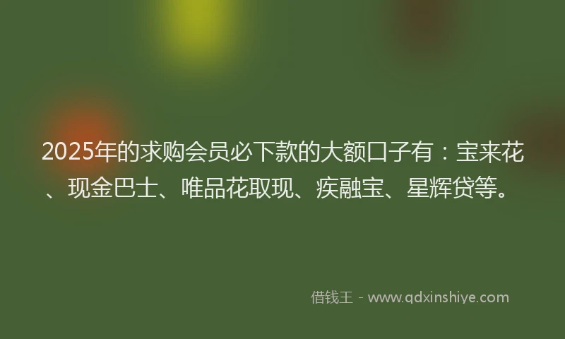 2025年的求购会员必下款的大额口子有：宝来花、现金巴士、唯品花取现、疾融宝、星辉贷等。