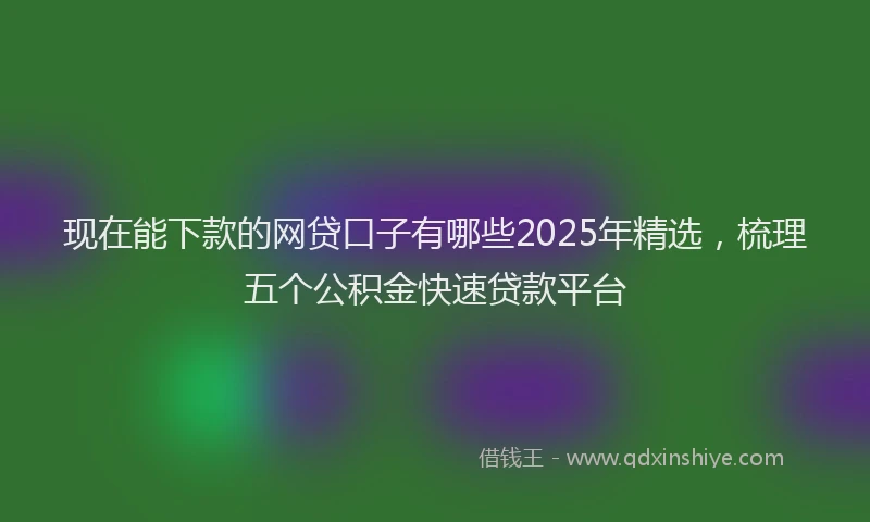 现在能下款的网贷口子有哪些2025年精选，梳理五个公积金快速贷款平台