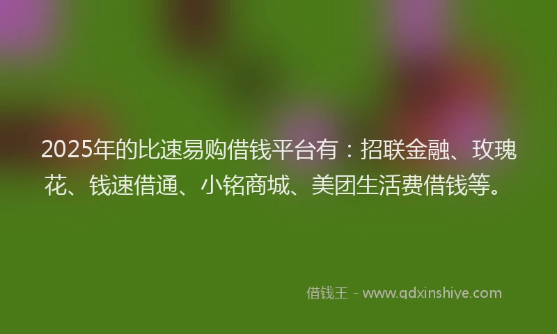 2025年的比速易购借钱平台有：招联金融、玫瑰花、钱速借通、小铭商城、美团生活费借钱等。