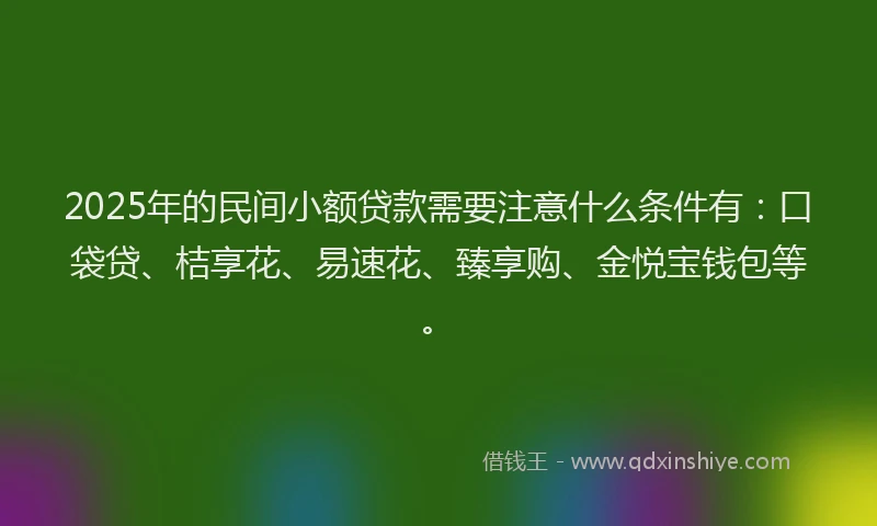 2025年的民间小额贷款需要注意什么条件有：口袋贷、桔享花、易速花、臻享购、金悦宝钱包等。