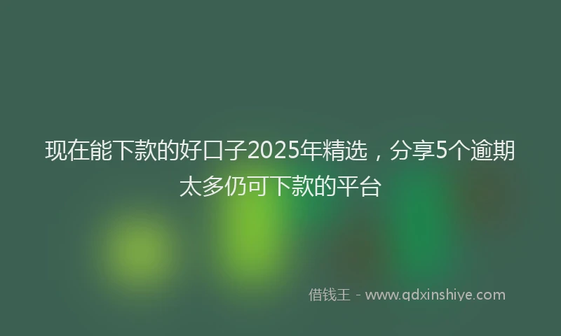 现在能下款的好口子2025年精选，分享5个逾期太多仍可下款的平台