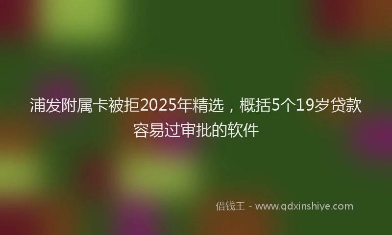 浦发附属卡被拒2025年精选，概括5个19岁贷款容易过审批的软件