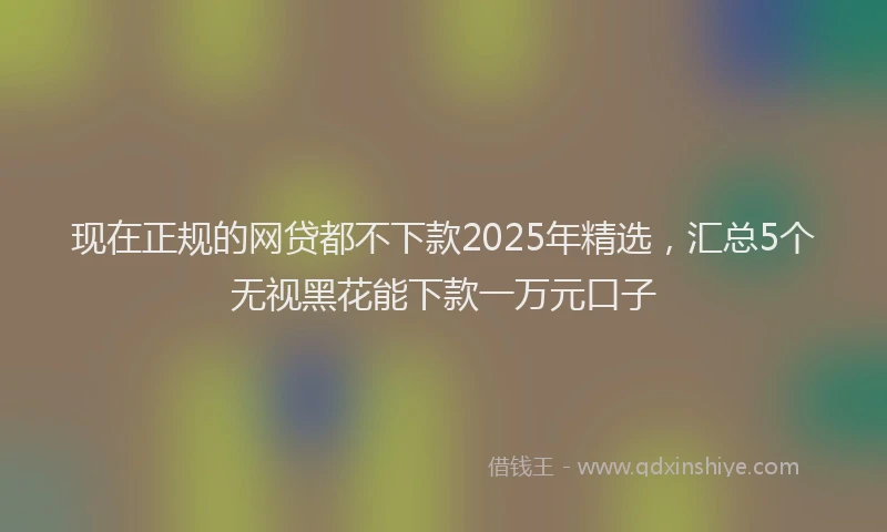现在正规的网贷都不下款2025年精选，汇总5个无视黑花能下款一万元口子