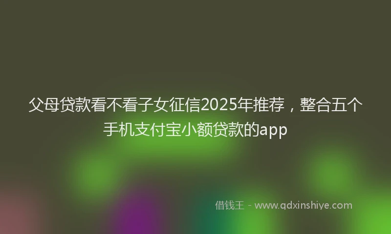 父母贷款看不看子女征信2025年推荐，整合五个手机支付宝小额贷款的app