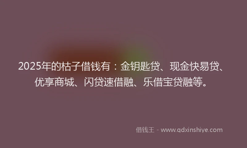 2025年的枯子借钱有：金钥匙贷、现金快易贷、优享商城、闪贷速借融、乐借宝贷融等。