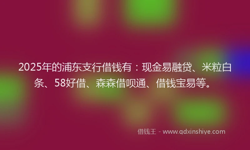 2025年的浦东支行借钱有：现金易融贷、米粒白条、58好借、森森借呗通、借钱宝易等。