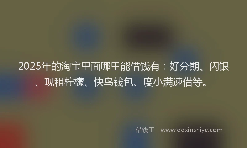 2025年的淘宝里面哪里能借钱有：好分期、闪银、现租柠檬、快鸟钱包、度小满速借等。
