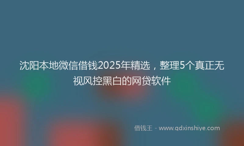 沈阳本地微信借钱2025年精选，整理5个真正无视风控黑白的网贷软件