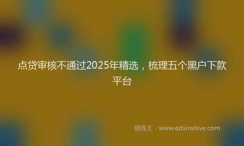 点贷审核不通过2025年精选，梳理五个黑户下款平台