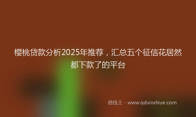 樱桃贷款分析2025年推荐，汇总五个征信花居然都下款了的平台
