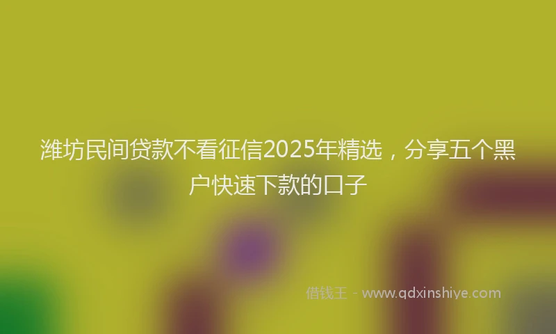 潍坊民间贷款不看征信2025年精选，分享五个黑户快速下款的口子