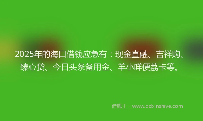2025年的海口借钱应急有：现金直融、吉祥购、臻心贷、今日头条备用金、羊小咩便荔卡等。