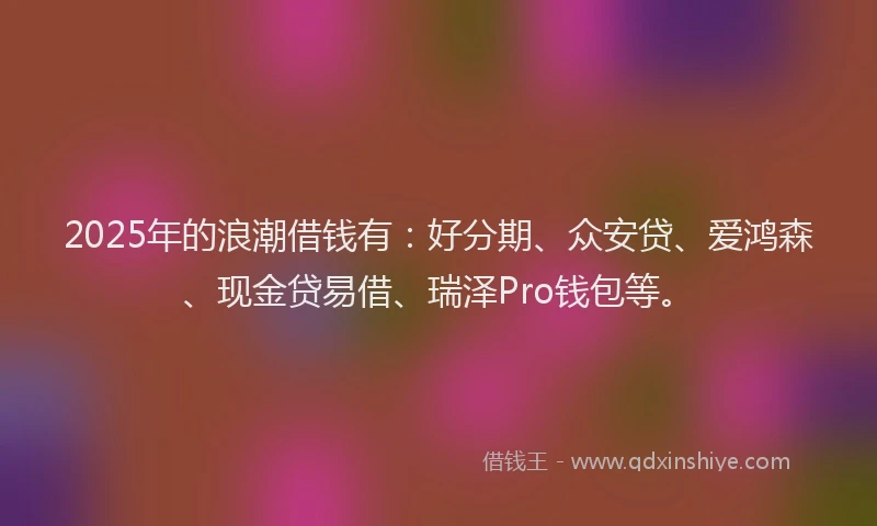 2025年的浪潮借钱有：好分期、众安贷、爱鸿森、现金贷易借、瑞泽Pro钱包等。