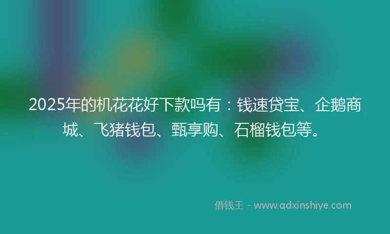 2025年的机花花好下款吗有：钱速贷宝、企鹅商城、飞猪钱包、甄享购、石榴钱包等。