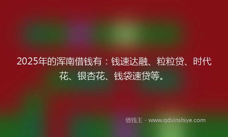 2025年的浑南借钱有：钱速达融、粒粒贷、时代花、银杏花、钱袋速贷等。