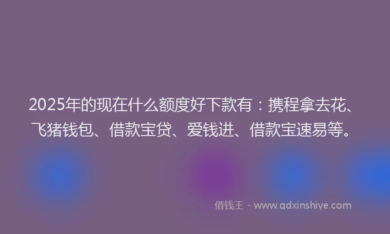 2025年的现在什么额度好下款有：携程拿去花、飞猪钱包、借款宝贷、爱钱进、借款宝速易等。