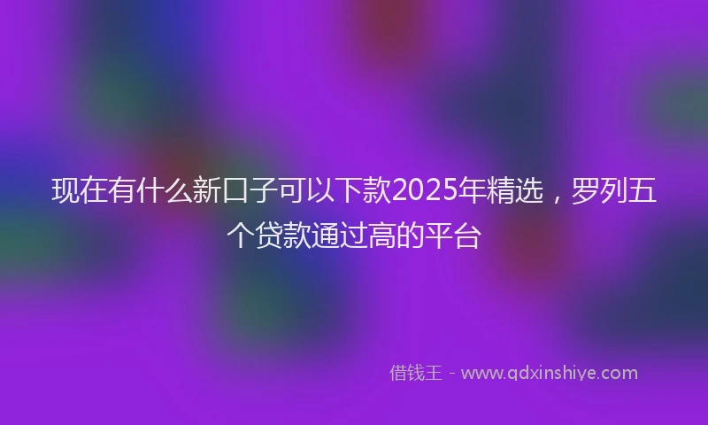 现在有什么新口子可以下款2025年精选，罗列五个贷款通过高的平台