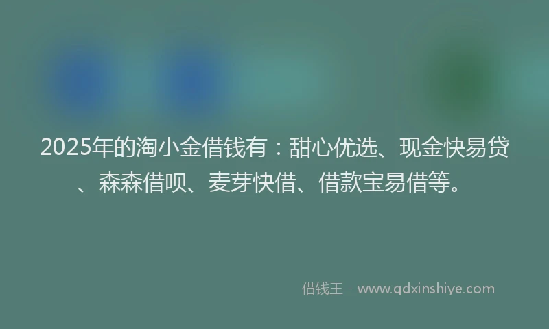 2025年的淘小金借钱有：甜心优选、现金快易贷、森森借呗、麦芽快借、借款宝易借等。