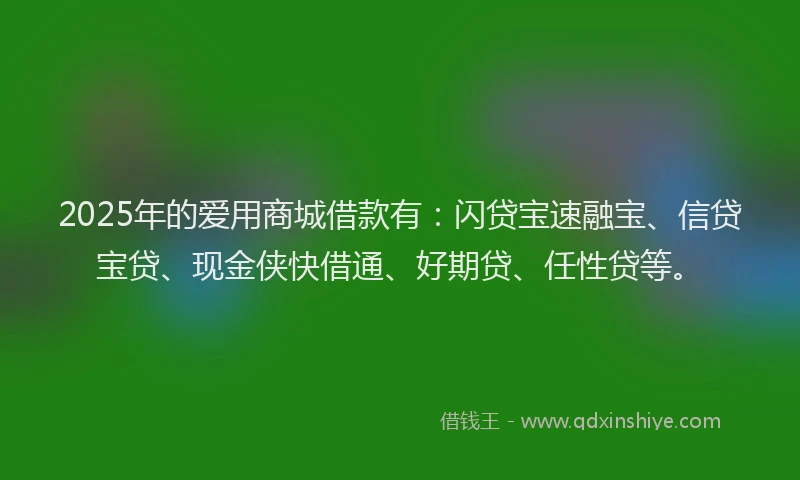 2025年的爱用商城借款有：闪贷宝速融宝、信贷宝贷、现金侠快借通、好期贷、任性贷等。