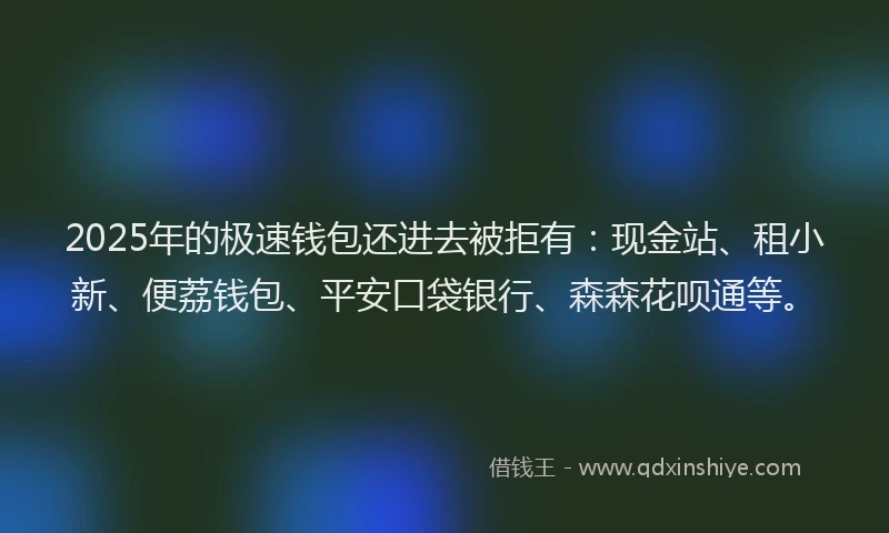 2025年的极速钱包还进去被拒有：现金站、租小新、便荔钱包、平安口袋银行、森森花呗通等。