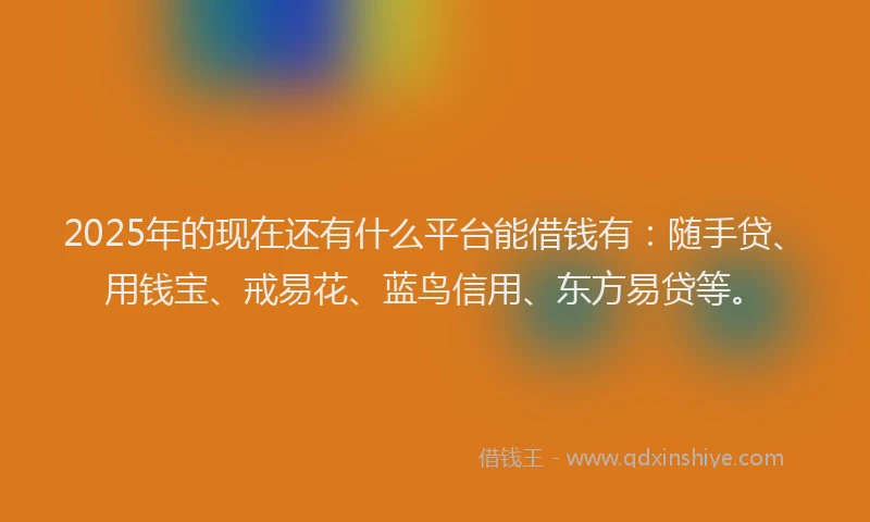 2025年的现在还有什么平台能借钱有：随手贷、用钱宝、戒易花、蓝鸟信用、东方易贷等。