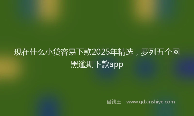 现在什么小贷容易下款2025年精选，罗列五个网黑逾期下款app