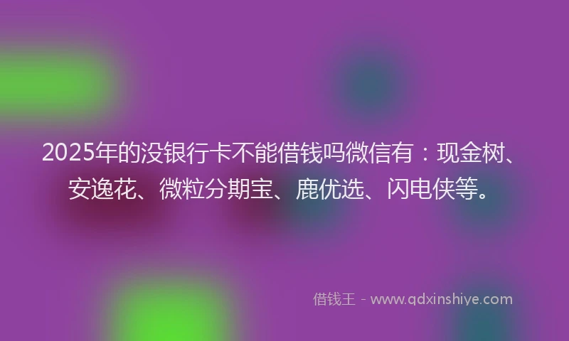 2025年的没银行卡不能借钱吗微信有：现金树、安逸花、微粒分期宝、鹿优选、闪电侠等。
