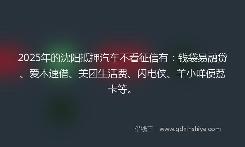2025年的沈阳抵押汽车不看征信有：钱袋易融贷、爱木速借、美团生活费、闪电侠、羊小咩便荔卡等。