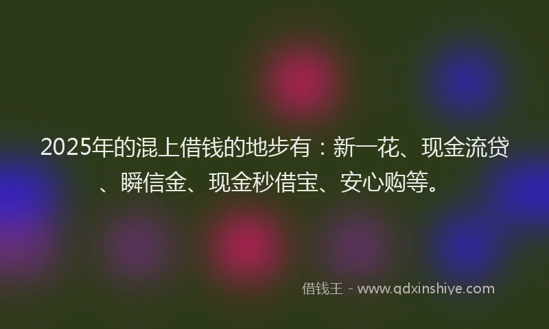 2025年的混上借钱的地步有：新一花、现金流贷、瞬信金、现金秒借宝、安心购等。
