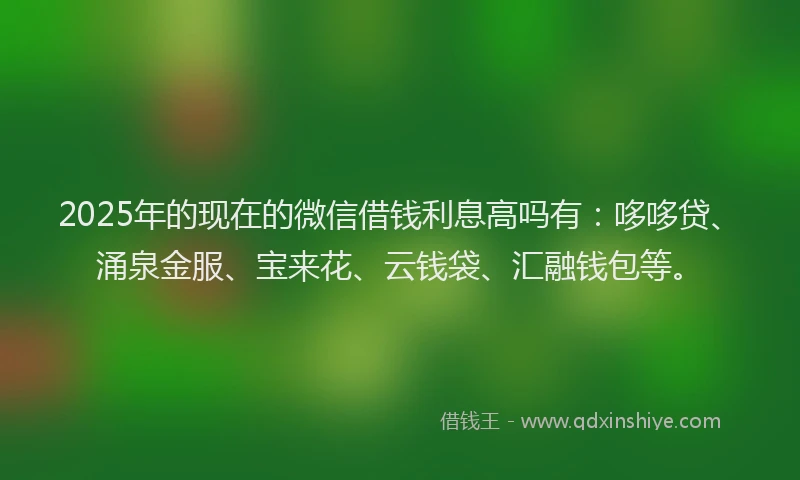 2025年的现在的微信借钱利息高吗有：哆哆贷、涌泉金服、宝来花、云钱袋、汇融钱包等。