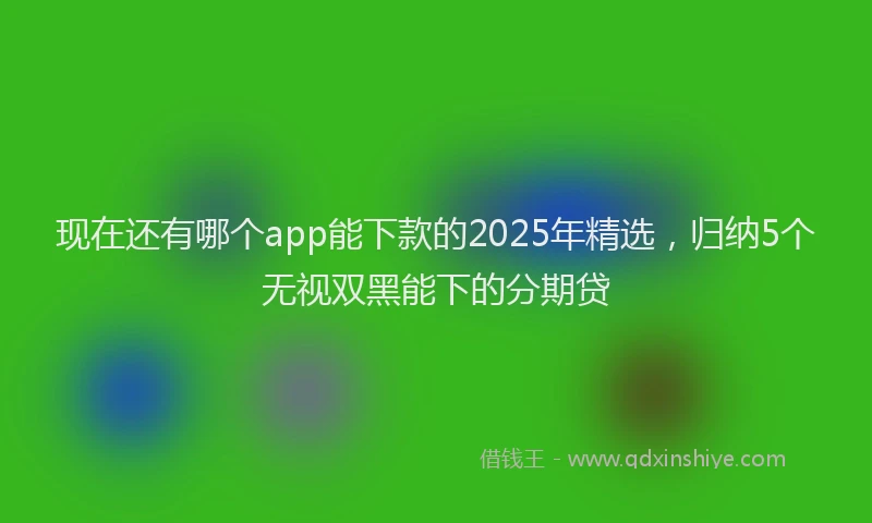 现在还有哪个app能下款的2025年精选，归纳5个无视双黑能下的分期贷