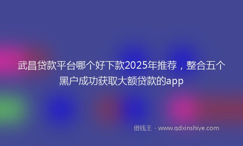 武昌贷款平台哪个好下款2025年推荐，整合五个黑户成功获取大额贷款的app