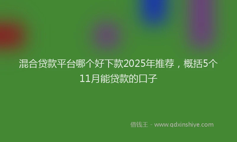混合贷款平台哪个好下款2025年推荐，概括5个11月能贷款的口子