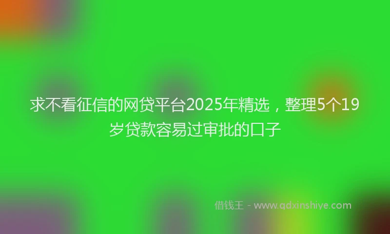 求不看征信的网贷平台2025年精选，整理5个19岁贷款容易过审批的口子