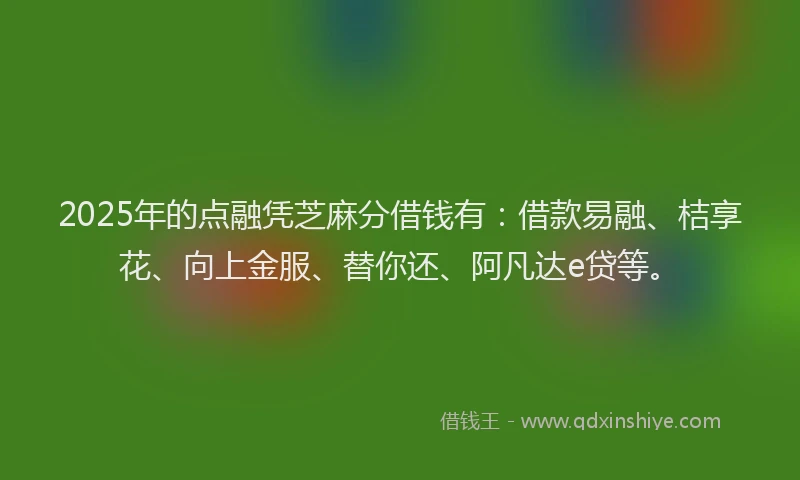 2025年的点融凭芝麻分借钱有：借款易融、桔享花、向上金服、替你还、阿凡达e贷等。