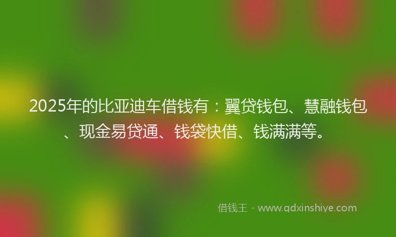 2025年的比亚迪车借钱有：翼贷钱包、慧融钱包、现金易贷通、钱袋快借、钱满满等。
