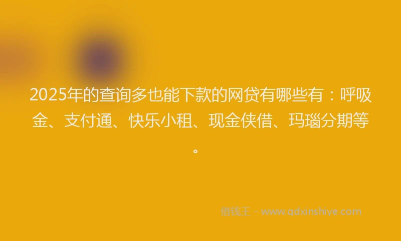 2025年的查询多也能下款的网贷有哪些有：呼吸金、支付通、快乐小租、现金侠借、玛瑙分期等。