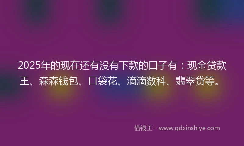 2025年的现在还有没有下款的口子有：现金贷款王、森森钱包、口袋花、滴滴数科、翡翠贷等。